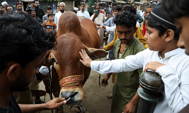 Eidul Azha Pakistan
