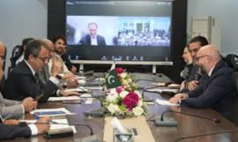 Owais Leghari meets AIIB delegation to discuss investment in Pakistan’s power sector