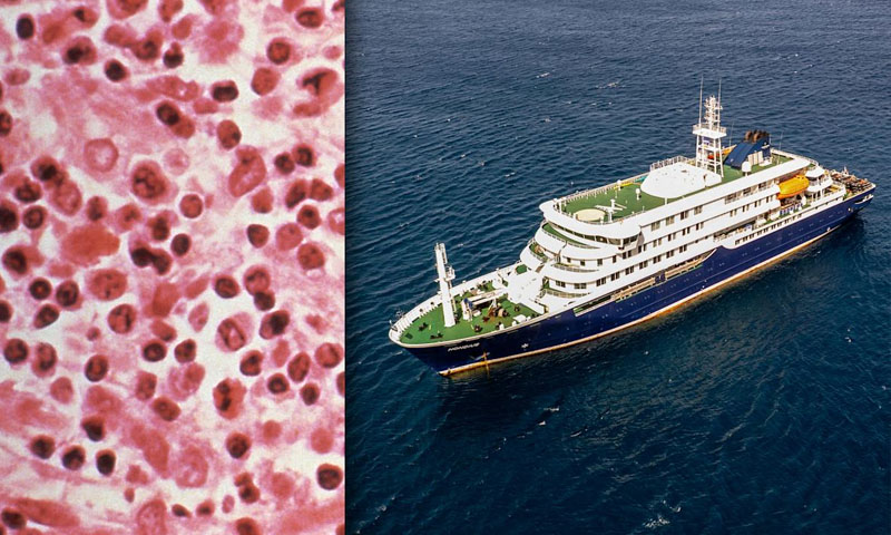 Passengers flee cruise ship after hantavirus pandemic