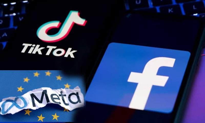Google, Meta and TikTok accused of weak response to online fraud ads in EU