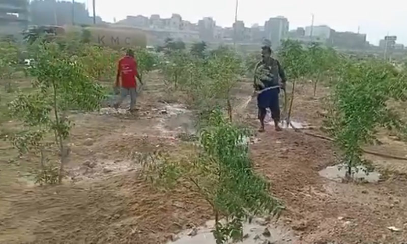 Karachi mayor inaugurates urban forest project on Shahrah-e-Bhutto