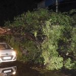 Nearly 90 killed as powerful storm sweeps across Uttar Pradesh
