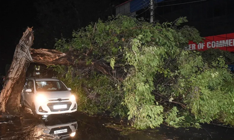 Nearly 90 killed as powerful storm sweeps across Uttar Pradesh