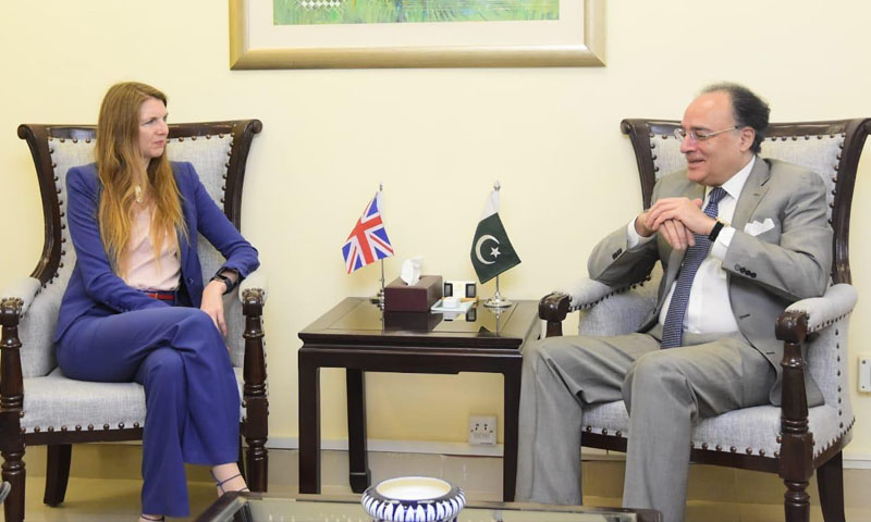 Finance minister, British envoy discuss economic reforms, bilateral cooperation