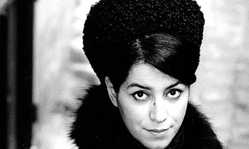 Oscar-nominated Marjane Satrapi, best known for Persepolis film, dies aged 56