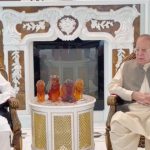 Nawaz urges AJK protesters to end sit-ins, engage in meaningful dialogue