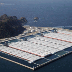 Japan refiners to diversify crude sources, explore support for Hormuz bypass routes