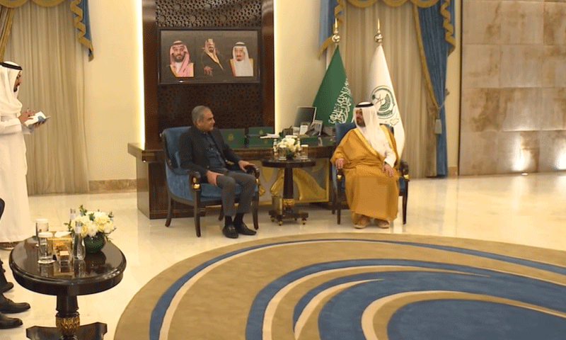 Mohsin Naqvi meets acting Makkah governor, reaffirms Pakistan-Saudi ties