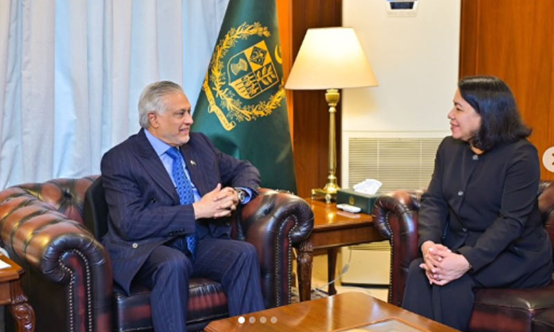 Dar calls for effective implementation of UN resolutions on Kashmir, Palestine
