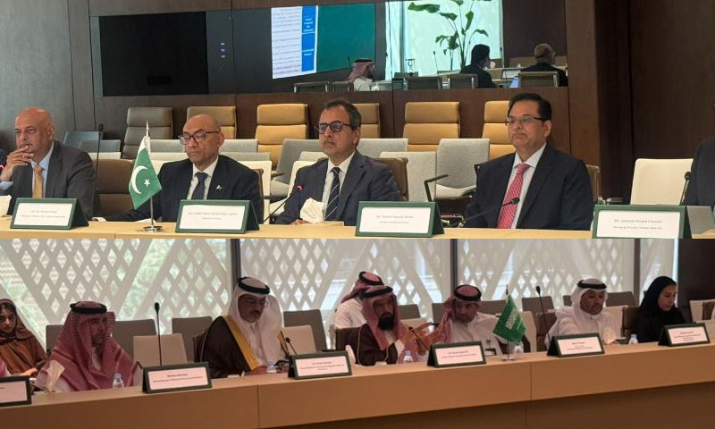 Pakistan, Saudi agree to deepen energy cooperation: Energy minister