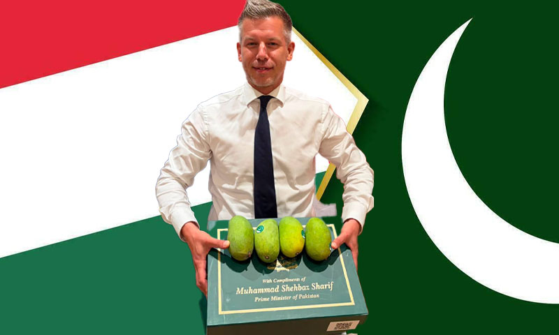 Hungarian PM Peter Magyar thanks Pakistan for mango gift