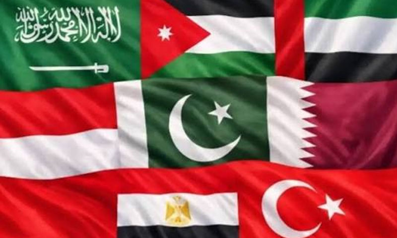 Pakistan, Arab-Islamic countries condemn Israeli actions in Palestine, Syria