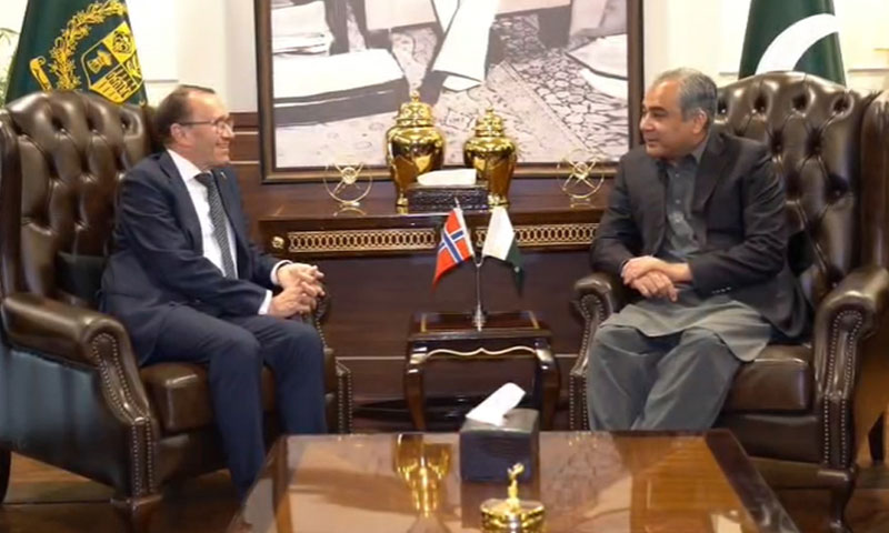 Afghan soil being used for terrorism in Pakistan, Naqvi tells Norwegian FM
