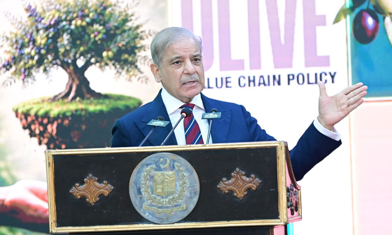 Pakistan to send 100 agricultural graduates to Italy for olive sector training: PM