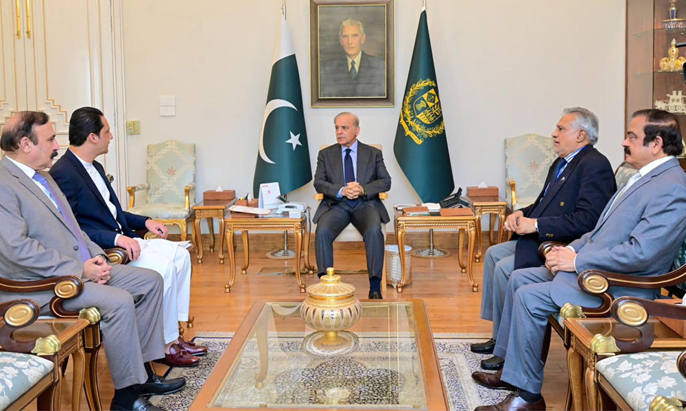 Shehbaz assures AJK PM of support for peace, development