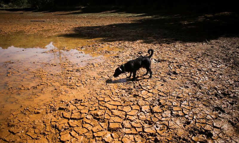 What is a 'super El Niño' and how will it affect the weather?