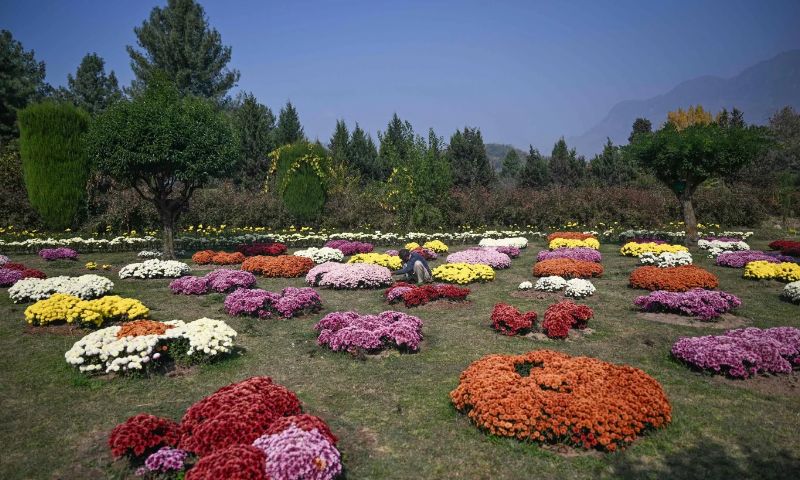 Restored nature hits record 252mn hectares, but still off target