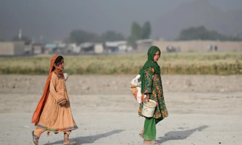 UN says 19 million Afghans facing acute food insecurity