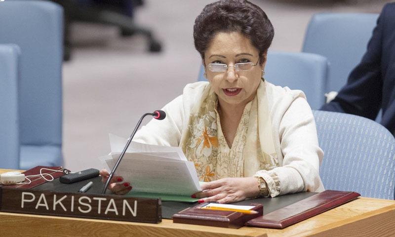 ’ کشمیر میں سنگین انسانی المیہ جنم لے رہا ہے’