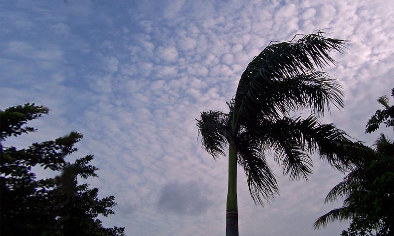 گرمی کی شدت برقرار، مختلف علاقوں میں بارش کا امکان