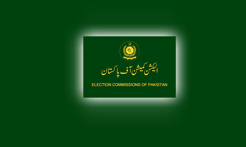 25اراکین نےقومی وصوبائی اسمبلی کی رکنیت بحال،86 تاحال معطل