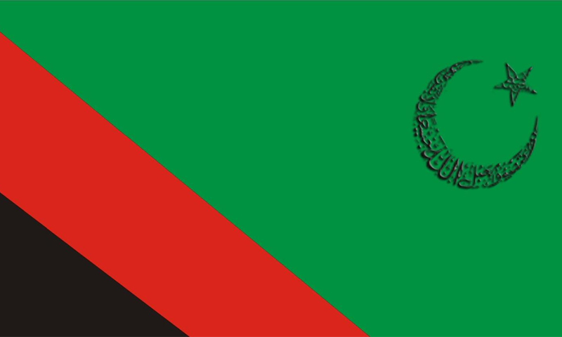 مجلس وحدت مسلمین کا انتخابی میدان میں اترنے کا فیصلہ | urduhumnews.wpengine.com