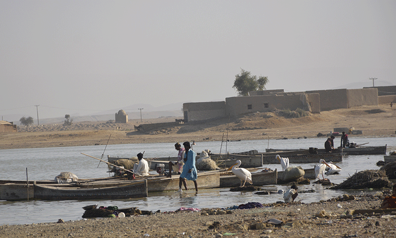 منچھر جھیل کی صفائی نہ ہونے پر سپریم کورٹ کا اظہار برہمی