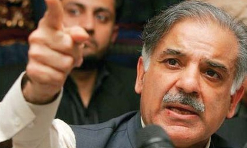 میں اور بیٹے گرفتار ہوئے تو بیٹیاں قیادت کریں گی، شہباز | urduhumnews.wpengine.com