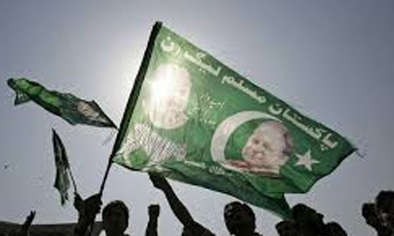 پی ایم ایل این pmln