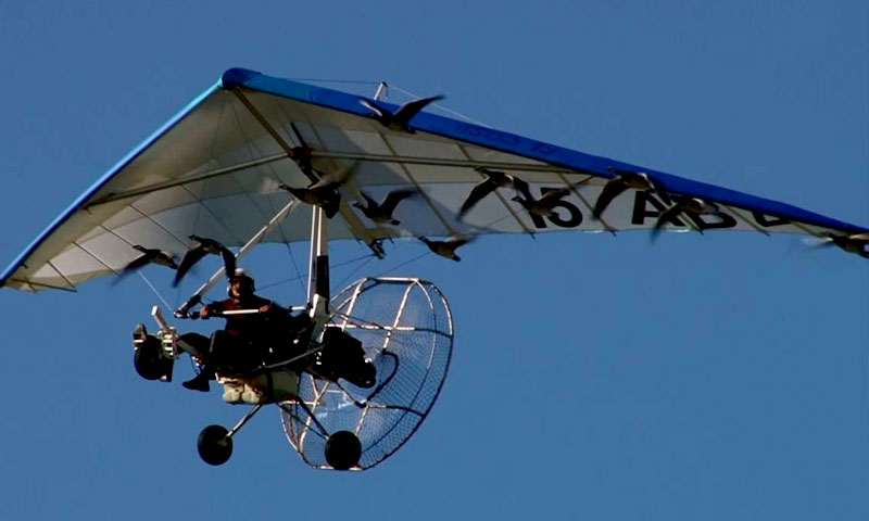 پرندوں کےساتھ فضاؤں کی سیر|urdurevamp.wpenginepowered.com