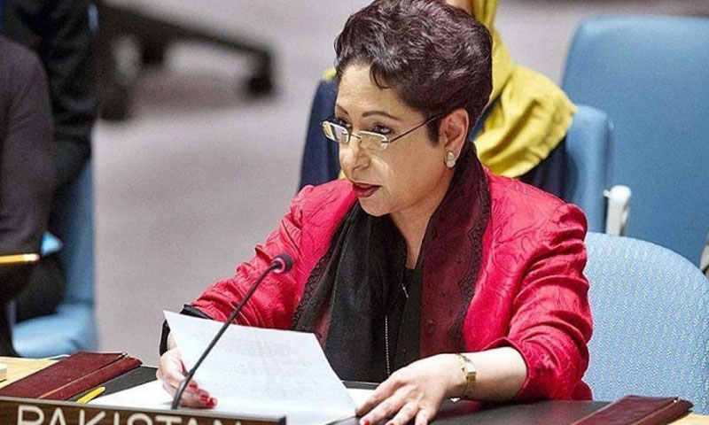 ڈاکٹر ملیحہ لودھی کو عہدے سے ہٹا دیا گیا