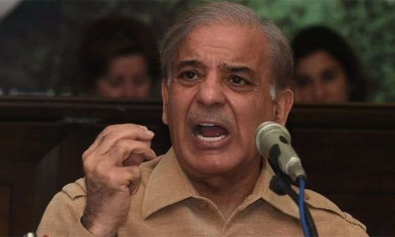 آئین کے تحت کوئی چور اور جھوٹا وزیر اعظم  نہیں ہو سکتا، شہباز شریف