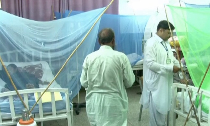 کراچی میں 24 گھنٹوں کے دوران ڈینگی کے 255 نئے کیسز رپورٹ