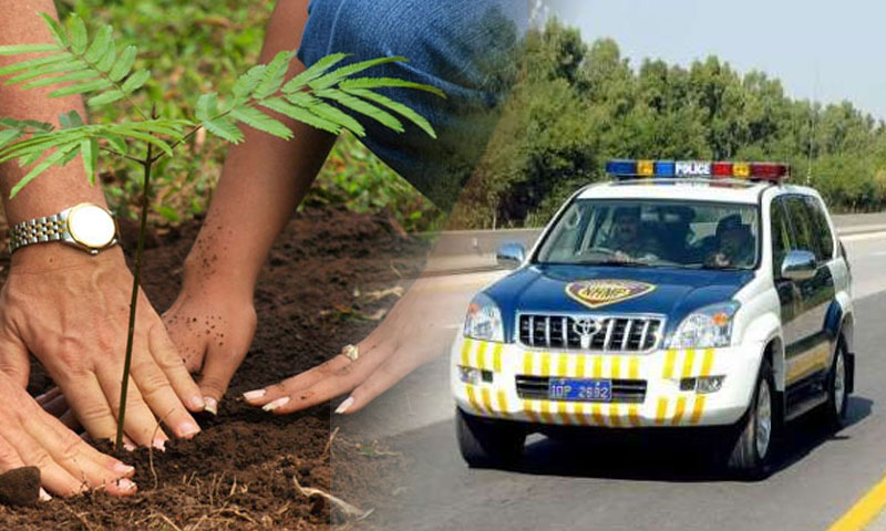 قومی شاہراہوں پر بڑے پیمانے پر شجرکاری مہم کا آغاز|urdurevamp.wpenginepowered.com