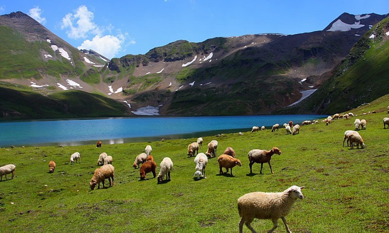اسکردو اور چلاس میں برفباری، درجنوں افراد محصور