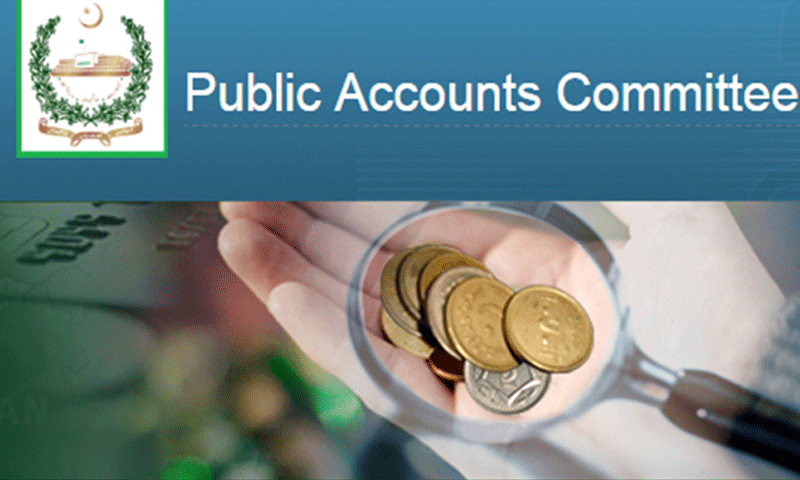 چیئرمین پی اے سی کی نامزدگی نہ ہونے سے قانون سازی متاثر