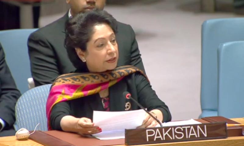 افغانستان کے مسائل کا فوجی حل نہیں، ملیحہ لودھی