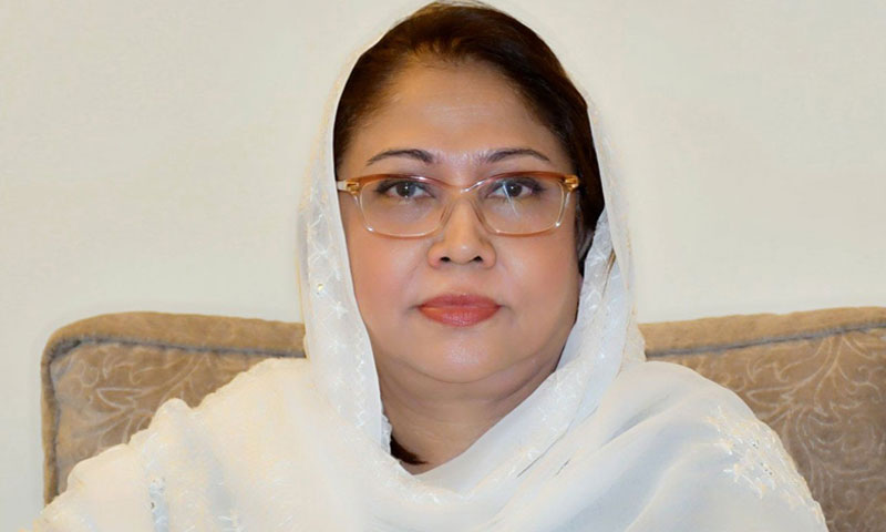 فریال تالپور سمیت دیگر کیخلاف نااہلی کی درخواستیں سماعت کیلیے مقرر