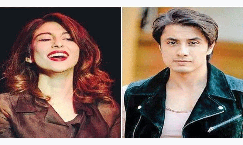 میشا شفیع کے خلاف ہتک عزت کا دعوی، چارگواہ عدالت کے روبرو پیش