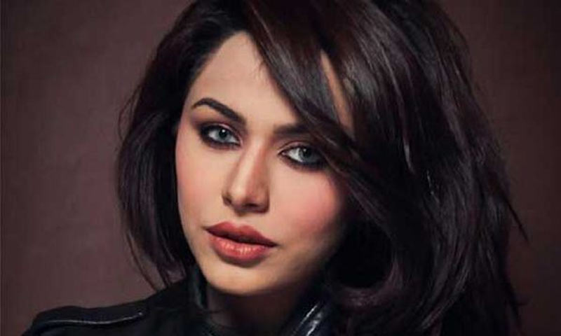 ماڈل گرل ایان علی اشتہاری قرار، وارنٹ جاری