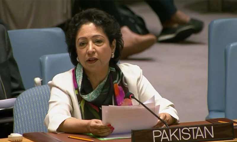 کشیدہ علاقوں میں جنسی تشدد کو ہتھیار کے طور پر استعمال کیا جاتاہے، ملیحہ لودھی