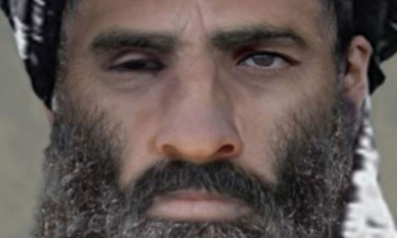 طالبان ترجمان کی ملا عمر سے متعلق صحافی کے دعوے کی تصدیق