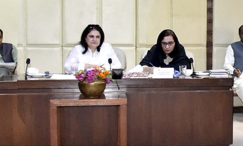 سینیٹ کمیٹی سے سائبر سیکیورٹی اتھارٹی بنانے کی سفارش