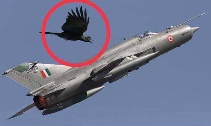 پرندا ٹکرانے سے بھارتی طیارے کو حادثہ سوشل میڈیا پر مذاق بن گیا