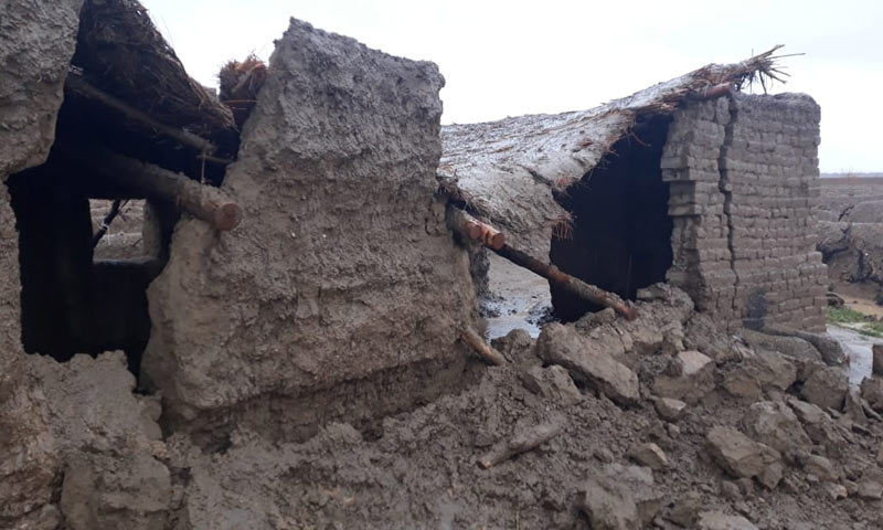 دو روز سے جاری بارشوں سے 31 افراد ہلاک، درجنوں زخمی