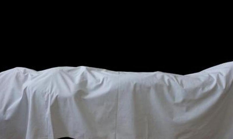 ٹوکیو: خاتون نے مردہ ماں کا جسم 10 سال تک فریزر میں چھپائے رکھا