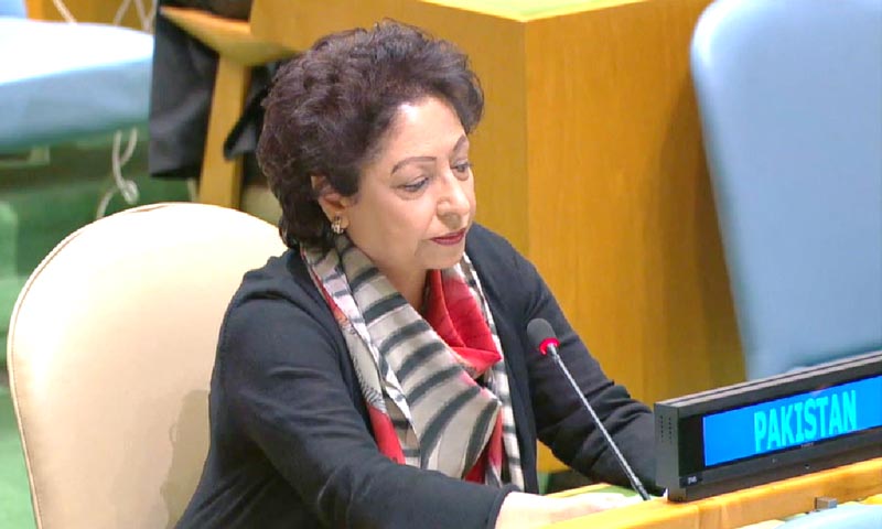 اقوام متحدہ میں مذہب، تعصب کی بنیاد پر دہشتگردی کے خلاف قرار داد منظور