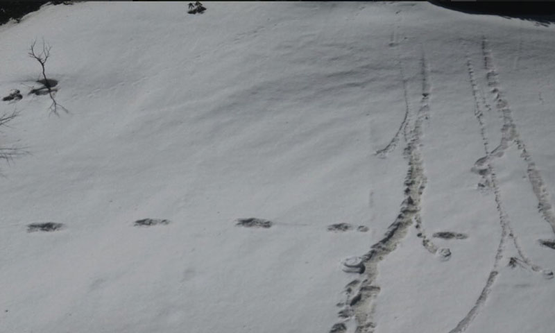 بھارتی فوج:ایسا دعویٰ کردیا جسے بھارتی بھی ماننے پر آمادہ نہیں