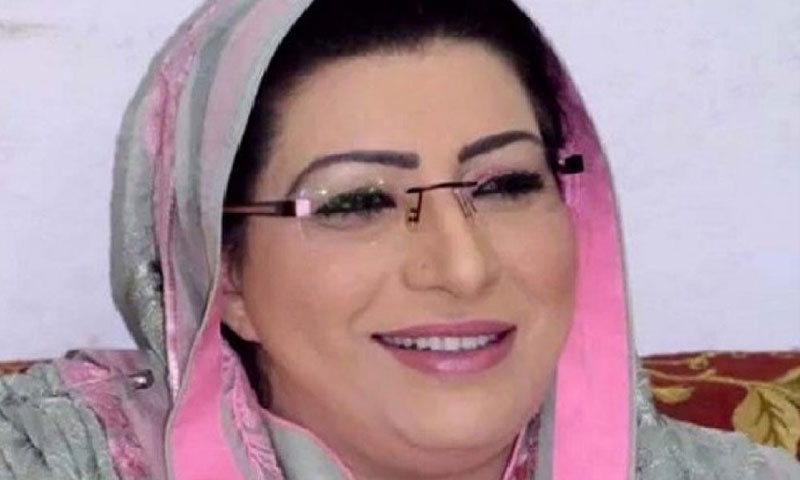 فردوس عاشق اعوان کیخلاف نازیبا الفاظ، مقدمے کیلئے درخواست دائر