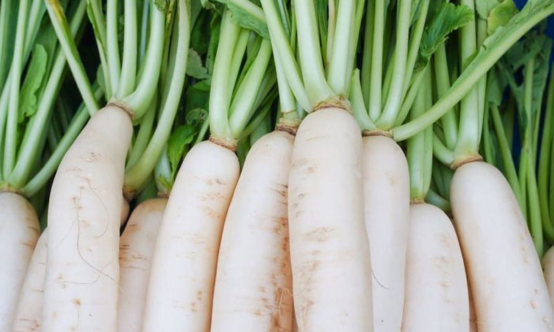 مولی کھانے کی 8 فوائد